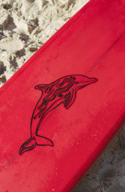 Dolphin