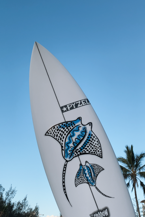 Manta Ray