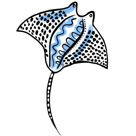 Manta Ray