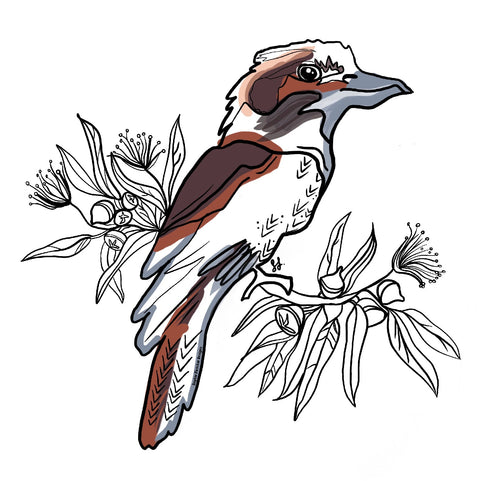 Kookaburra