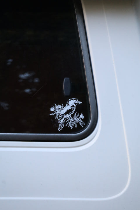 Kookaburra