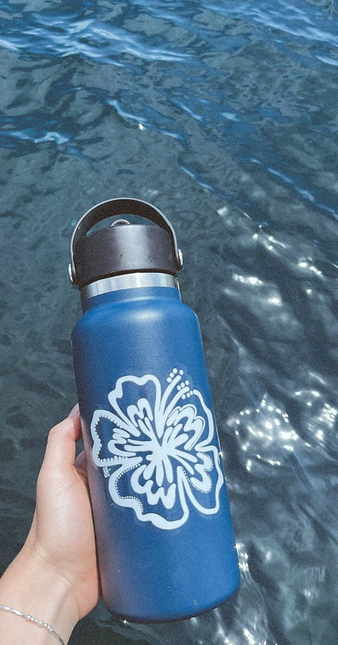 Hibiscus