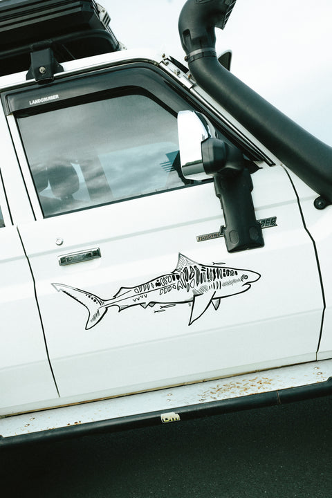 Tiger Shark