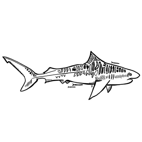 Tiger Shark