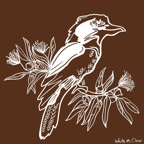 Kookaburra