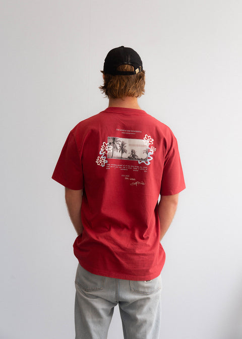 The Good & Wonderful T-shirt
