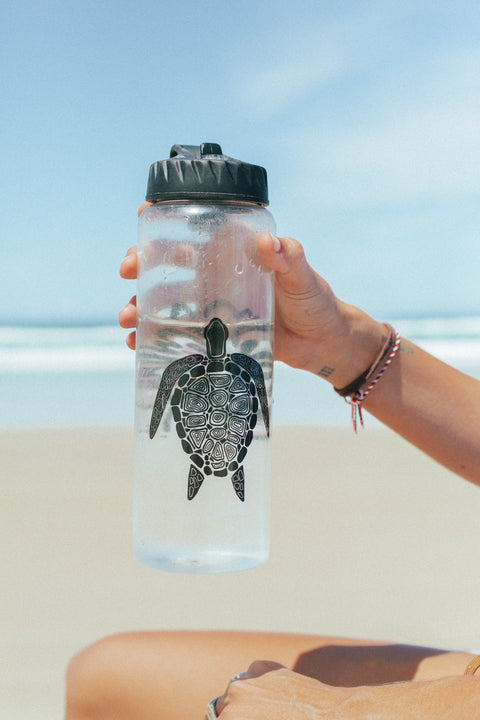 Sea turtle