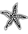 Sea Star