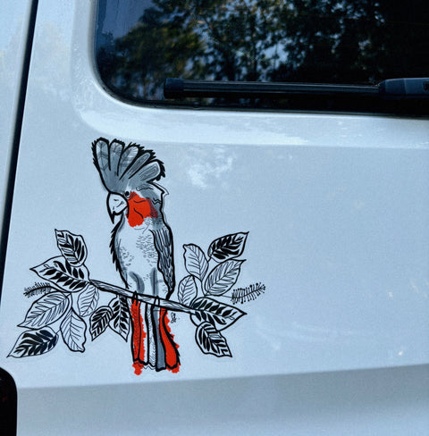 Cockatoo