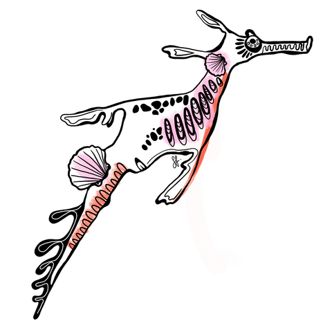Weedy Seadragon