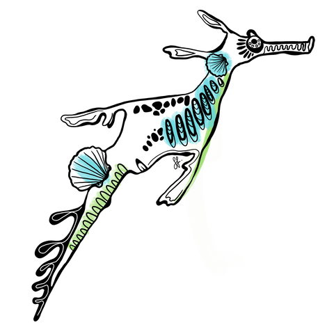 Weedy Seadragon