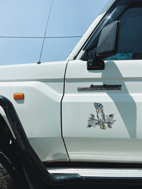 Cockatoo
