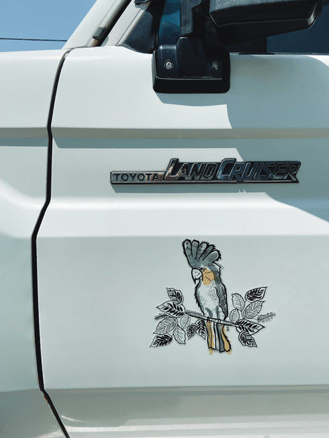 Cockatoo