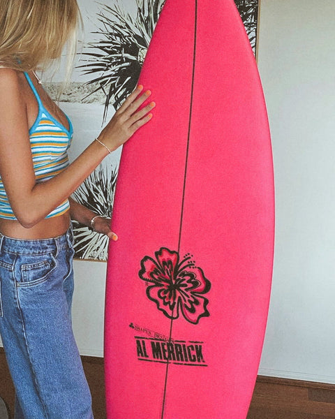 Hibiscus