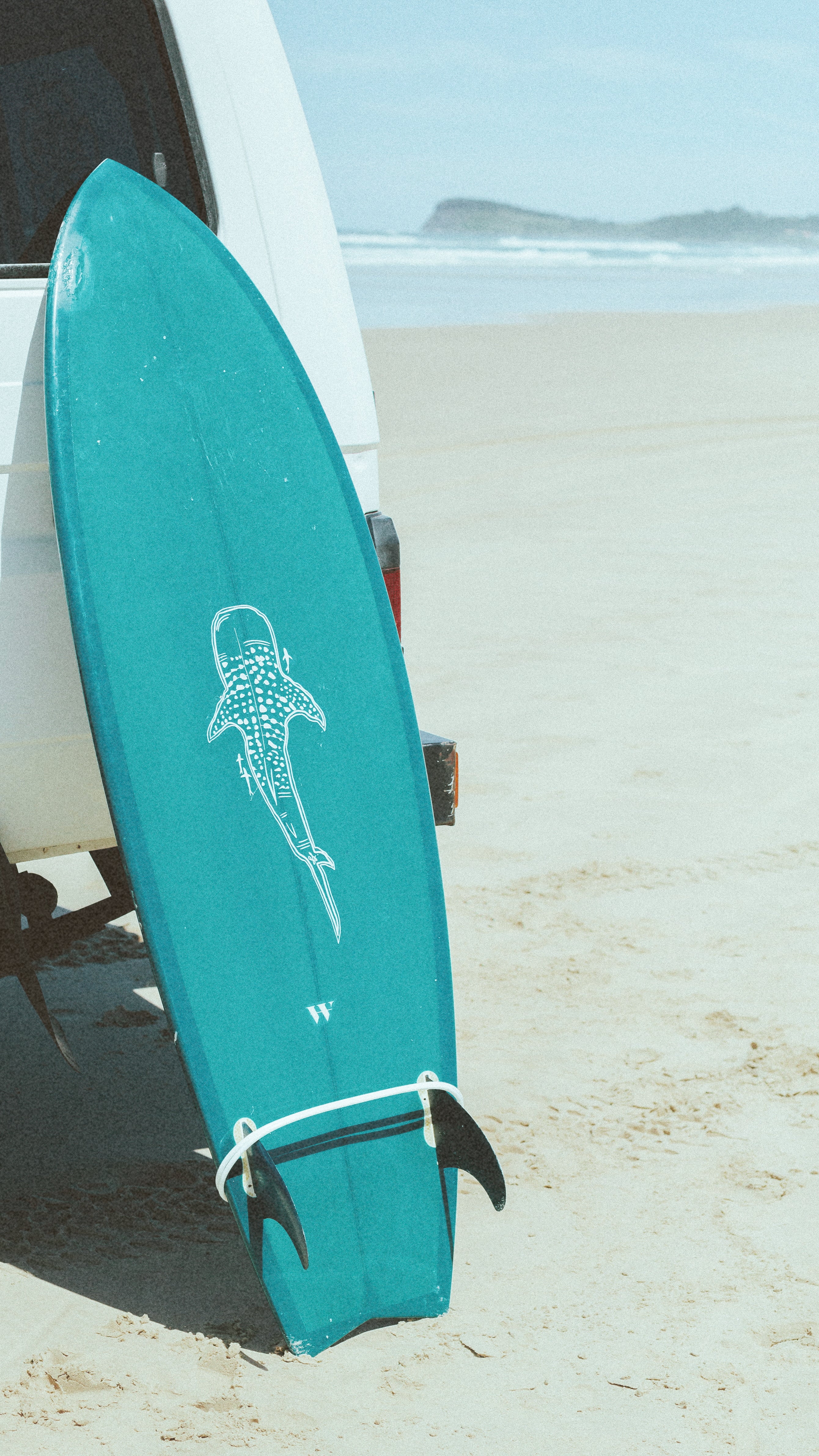 Whale Shark – Sophie Fletcher Designs