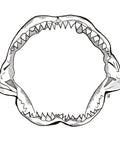 Shark jaw
