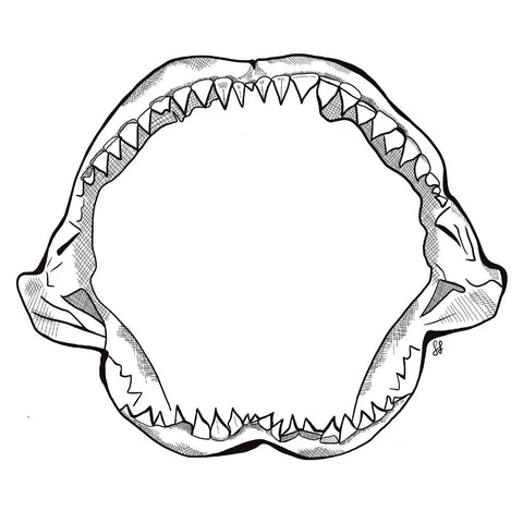 Shark jaw
