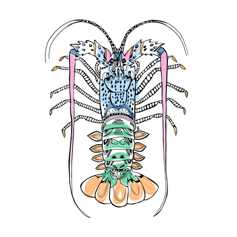 Crayfish