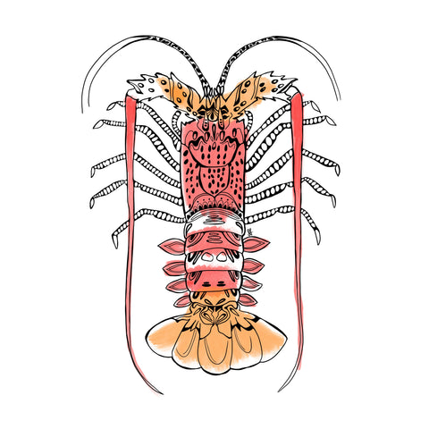 Crayfish