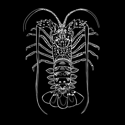 Crayfish